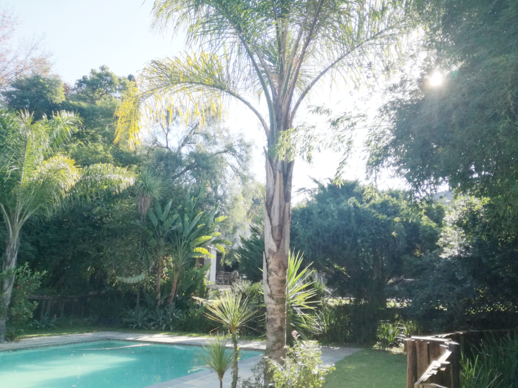 Landscape garden