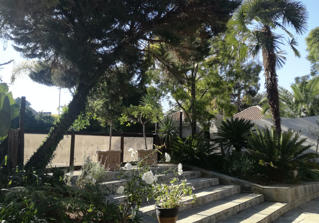 landscaping
